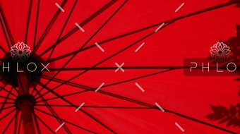 demo-attachment-1549-loic-furhoff-YERwza88a0o-unsplash@2x